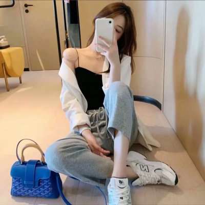 狮子护卫队第二季